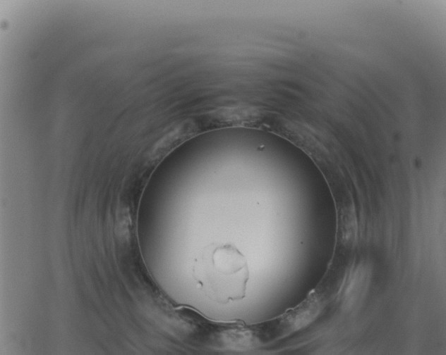 X0000062850279200601201711