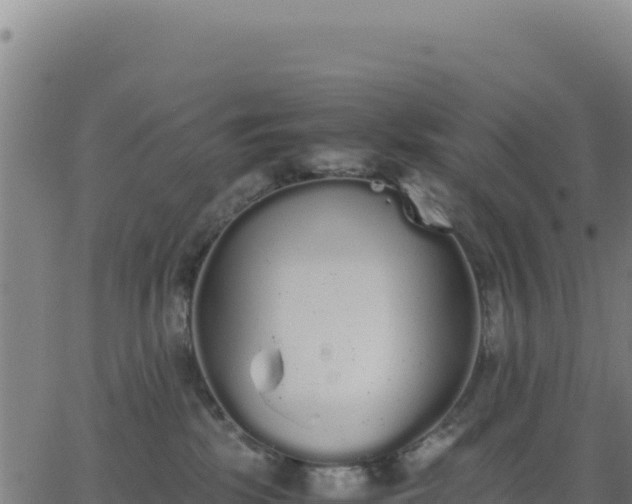 X0000062850281200601201711