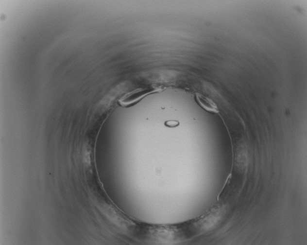 X0000062850282200601201711