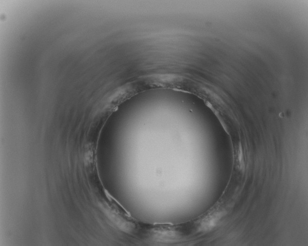 X0000062850284200601201711