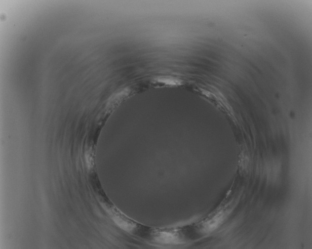 X0000062850285200601201711