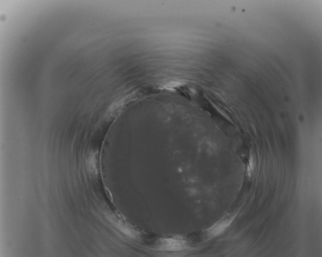 X0000062850286200601201711