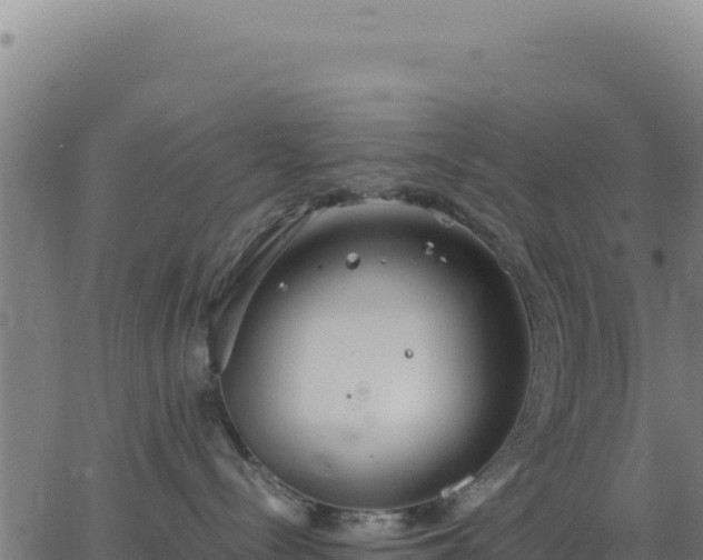 X0000062850288200601201711