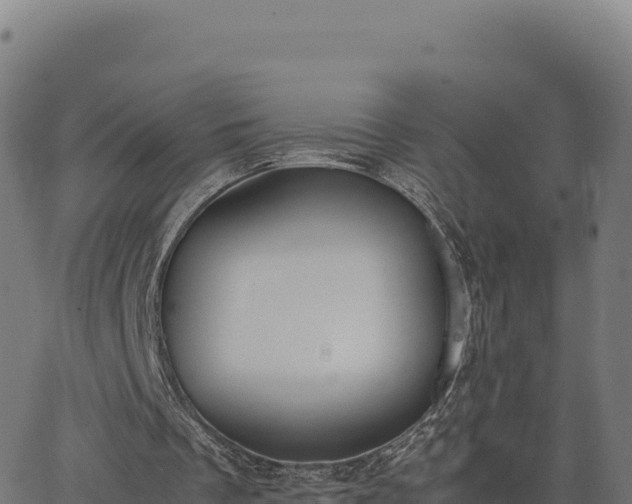 X0000062850289200601201710