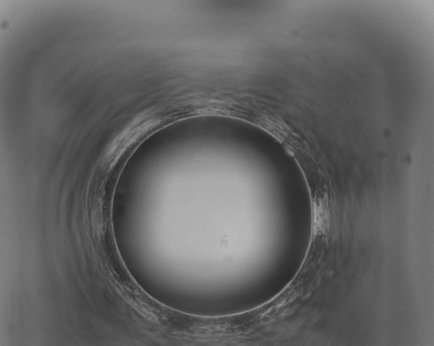 X0000062850291200601201710