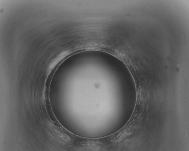 X0000062850292200601201710