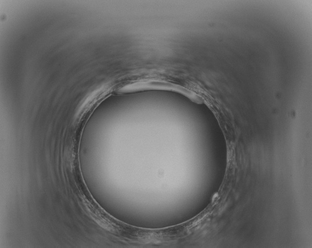 X0000062850293200601201710