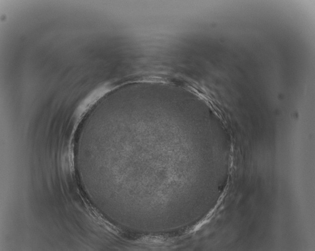 X0000062850294200601201710