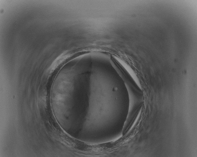 X0000062850295200601201710