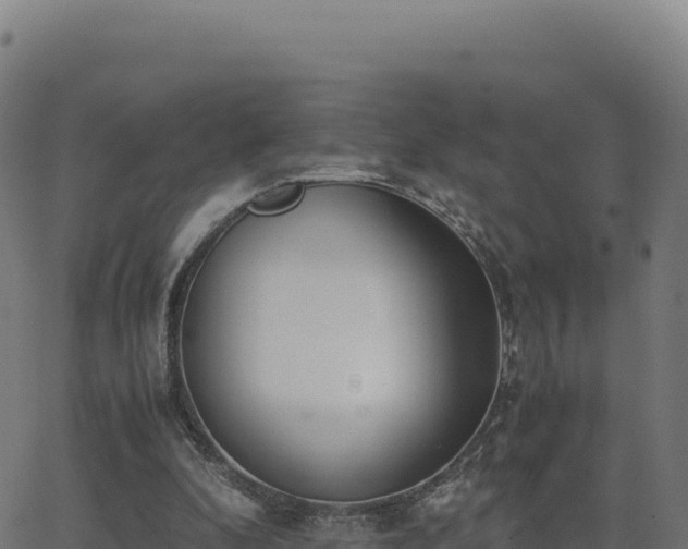 X0000062850296200601201710