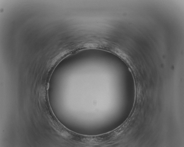 X0000062850297200601201710