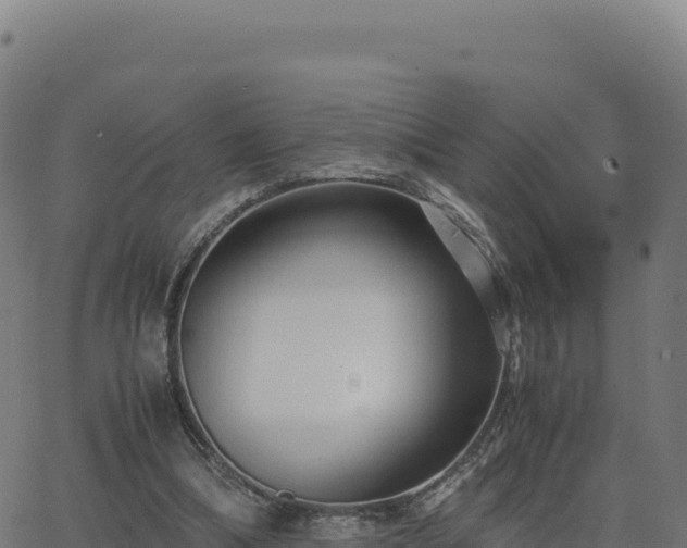 X0000062850298200601201710