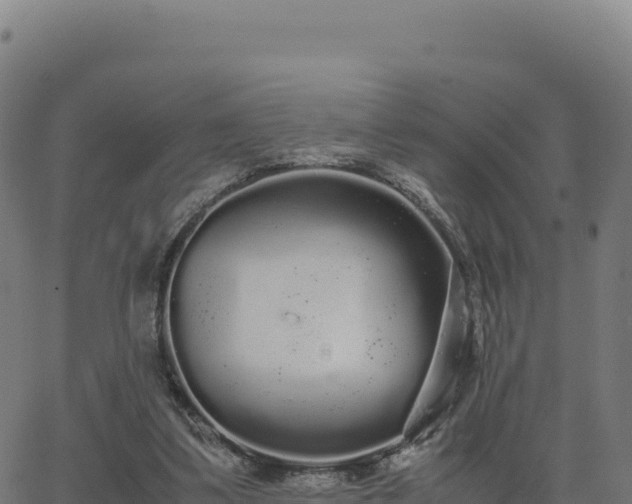 X0000062850299200601201710