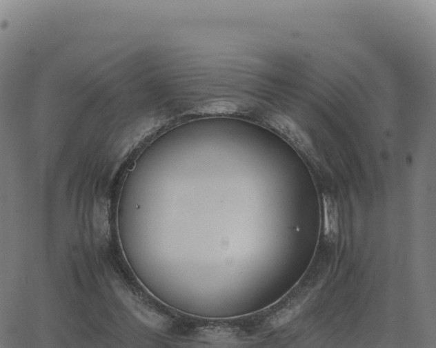 X0000062850300200601201710