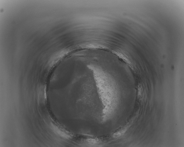 X0000062850302200601201710