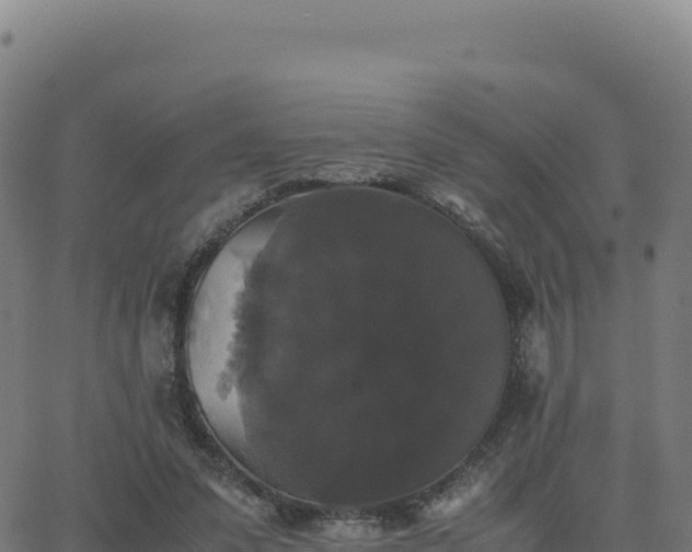 X0000062850303200601201710