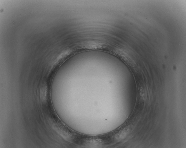 X0000062850304200601201710