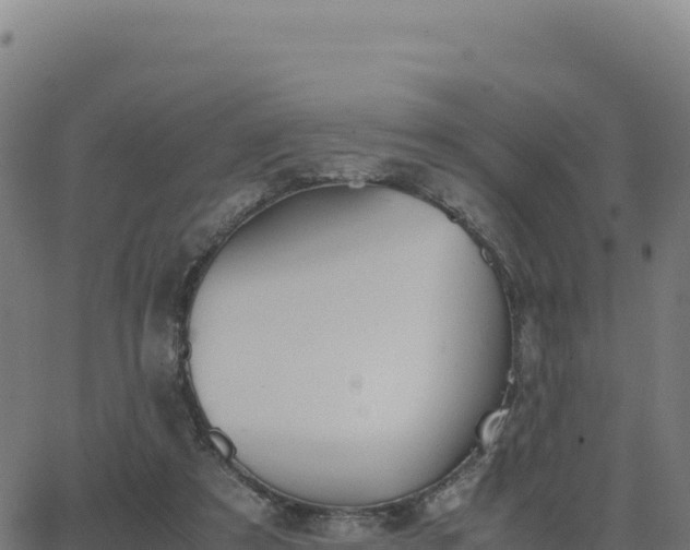 X0000062850305200601201710