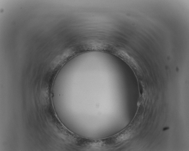 X0000062850306200601201710