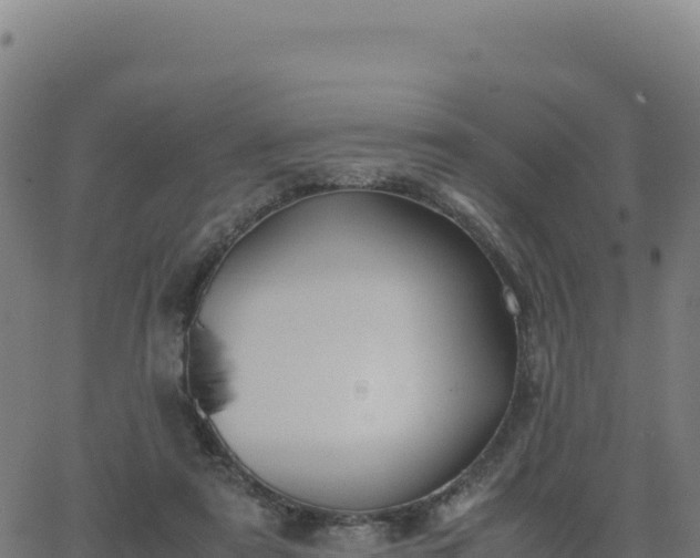 X0000062850307200601201710