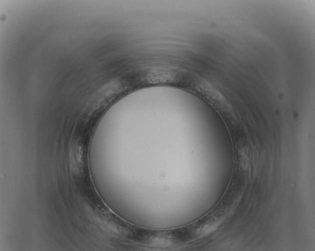 X0000062850308200601201710