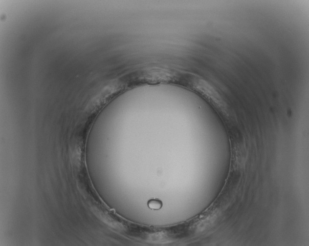 X0000062850309200601201710