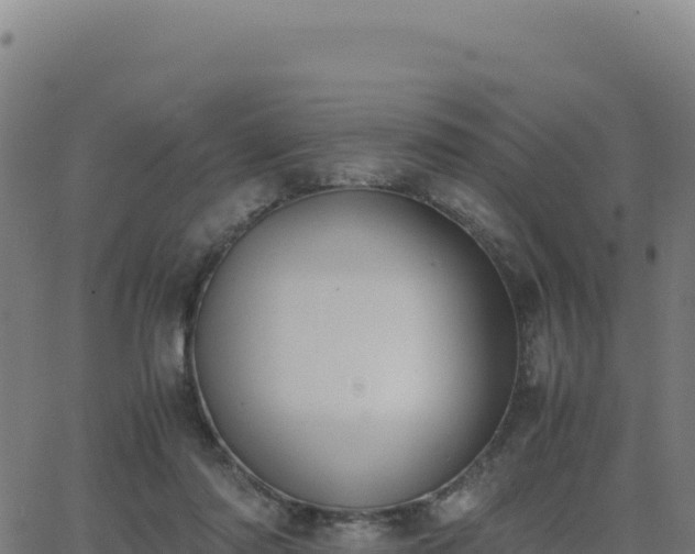 X0000062850310200601201710