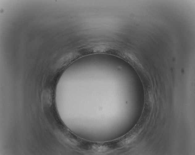 X0000062850311200601201710