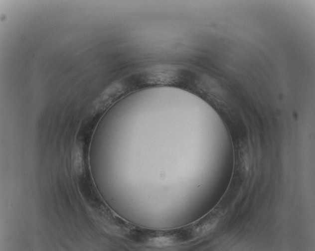 X0000062850312200601201710