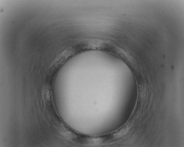 X0000062850313200601201710