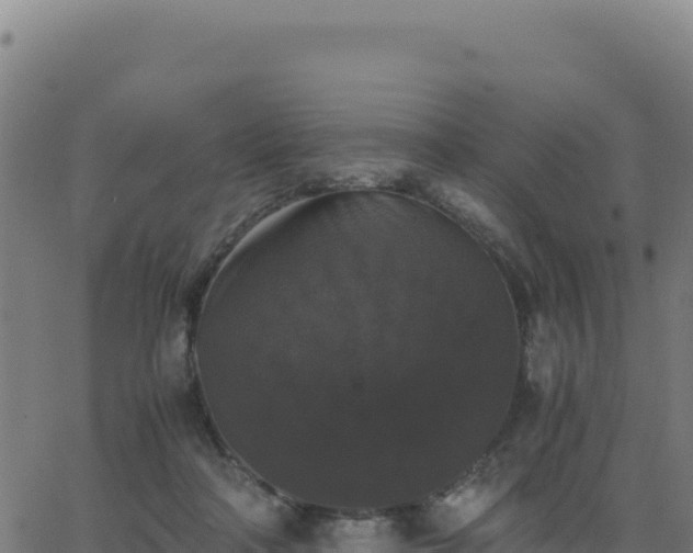 X0000062850314200601201710