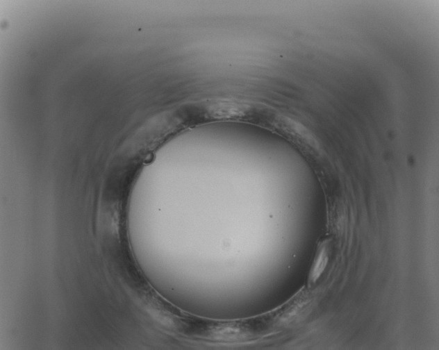 X0000062850315200601201710