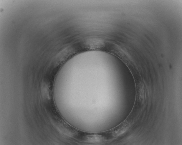 X0000062850316200601201710