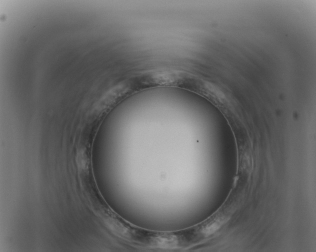 X0000062850317200601201710