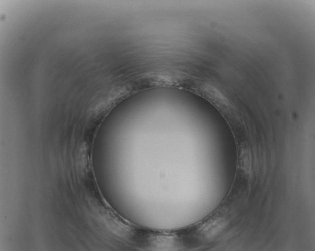 X0000062850318200601201710