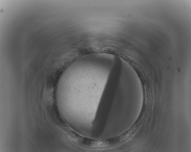 X0000062850319200601201710