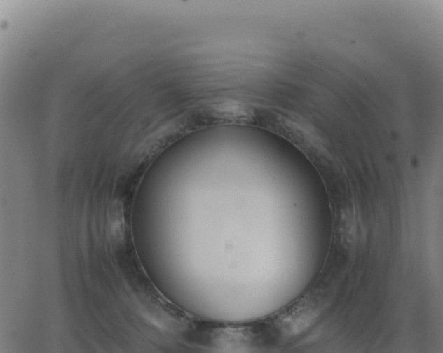 X0000062850320200601201710