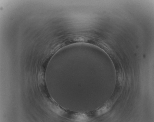 X0000062850322200601201710