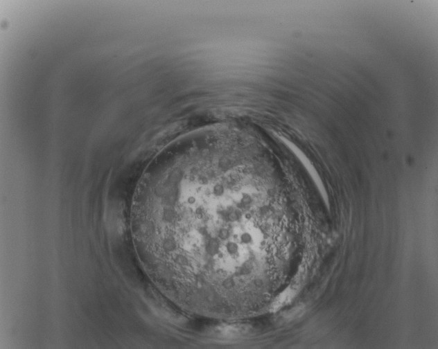 X0000062850323200601201710