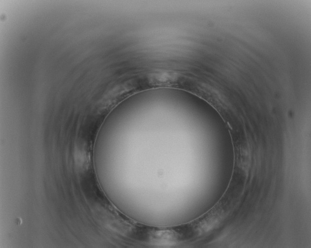 X0000062850324200601201710