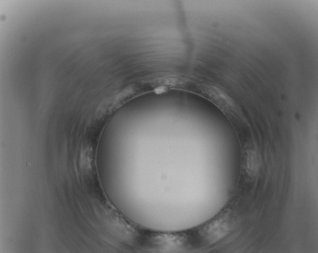 X0000062850326200601201710