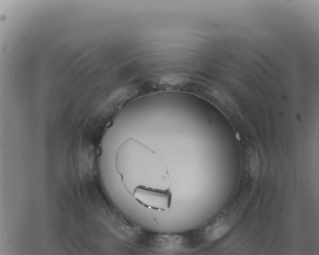 X0000062850328200601201710