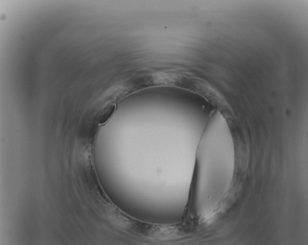 X0000062850329200601201710