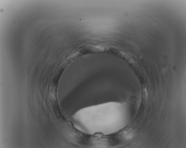 X0000062850331200601201710