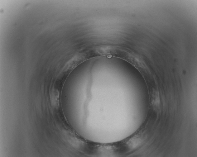 X0000062850332200601201710