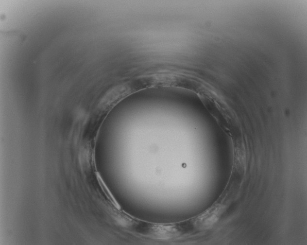 X0000062850333200601201710