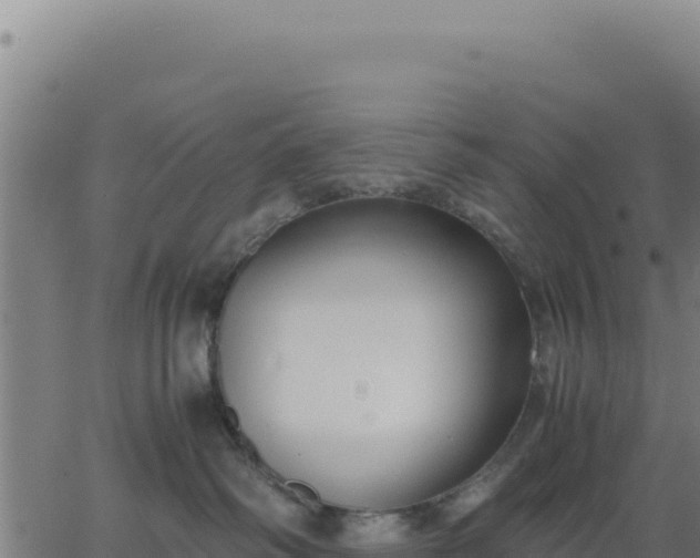 X0000062850334200601201709