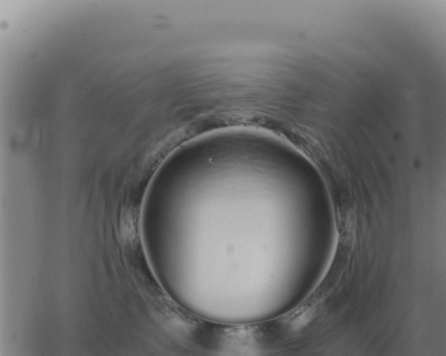 X0000062850335200601201709