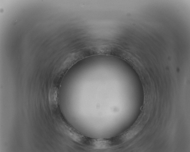 X0000062850336200601201709