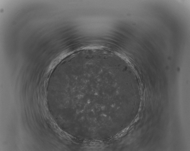 X0000062850337200601201709